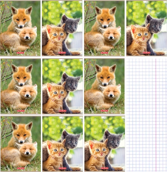 Изображение Herlitz Zeszyt A4/32K kratka Animals (10szt)