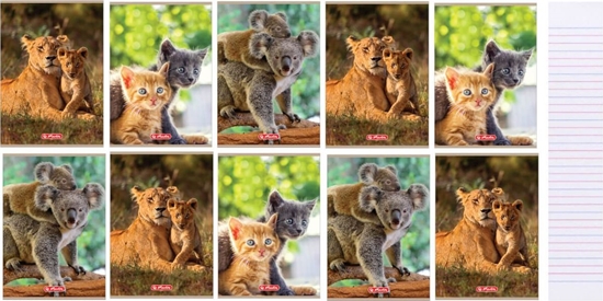 Изображение Herlitz Zeszyt A5/32K, linia podwójna, Animals (10szt)