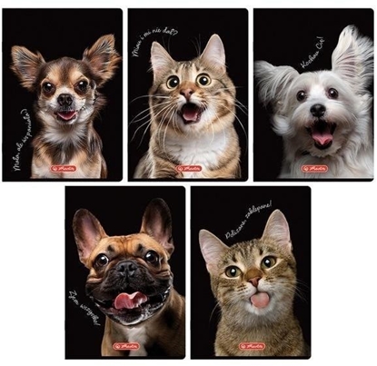 Изображение Herlitz Zeszyt A5/80K kratka z marginesem Animal (5szt)