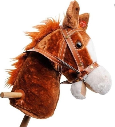 Picture of Hobby horse z gosem