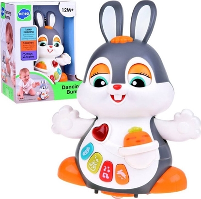 Picture of HOLA Interaktywny Taczcy Królik zabawka do raczkowania dla dziecka ZA5071