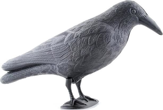 Picture of Ikonka Odstraszacz ptaków - kruk