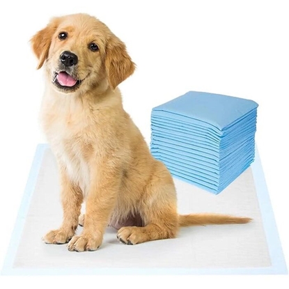 Picture of iLike Pet Super‑Absorbent Disposable Training Pads for Dogs & Cats 20 pcs Leak‑Proof 60x90 cm