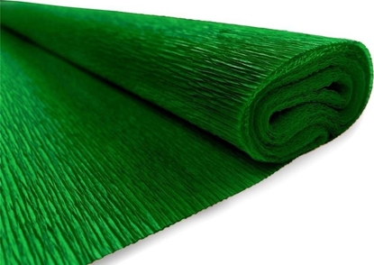 Picture of Interdruk Bibua marszczona nr 24 c.zielony (10szt)