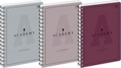 Attēls no Interdruk Koozeszyt A4/100K kratka Academy (5szt)