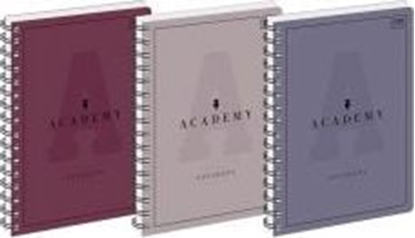 Attēls no Interdruk Koozeszyt A5/100K kratka Academy (5szt)