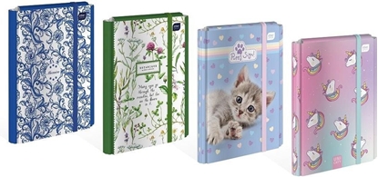 Attēls no Interdruk Teczka z gumk A4 twarda Girls