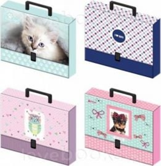 Picture of Interdruk Teczka z rÄczkÄ c4 girls