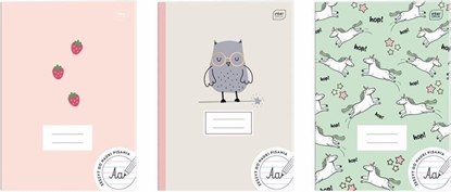 Attēls no Interdruk Zeszyt A4/32K linia UV Girls (10szt)