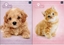 Picture of Interdruk Zeszyt A5/16K kratka UV Puppy Sign (20szt)