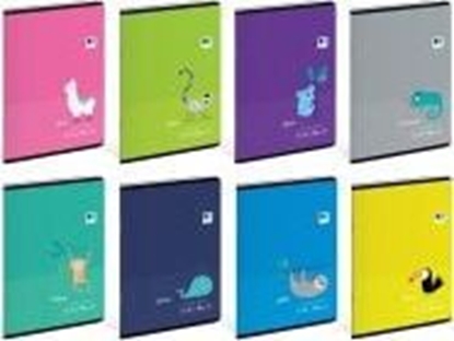 Attēls no Interdruk Zeszyt A5/16K linia kolor. B&B Kids Tropic (20szt)