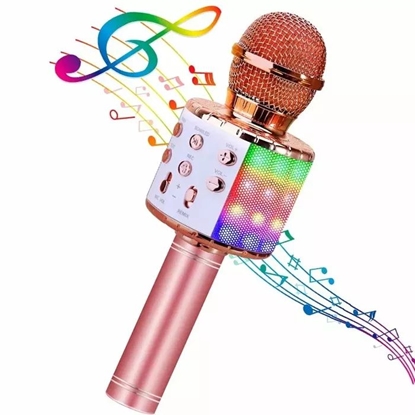 Attēls no iWear M85 Karaoke Kids & Adult Fun Effect Microphone with Speakers & Recodr Micro SD USB Bluetooth