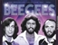 Picture of Yss Bee Gees The Broadcast Collection 1967-1996 4CD