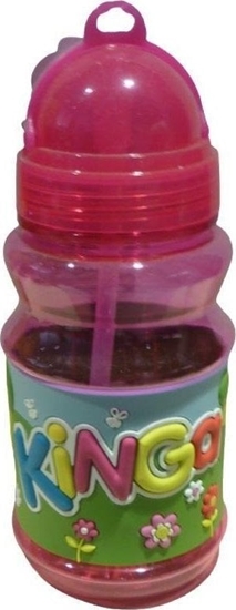 Picture of John Hinde Bidon 300ml Kinga