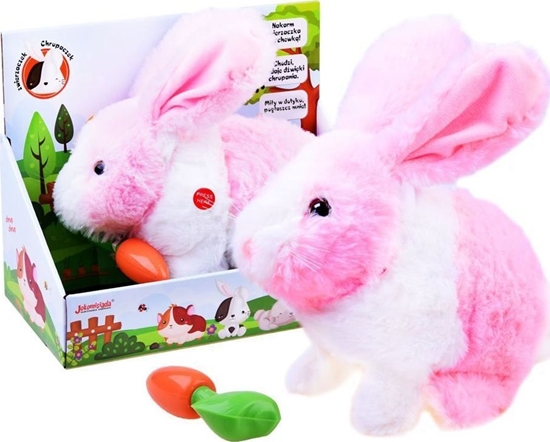 Изображение Jokomisiada  (ZA2685)