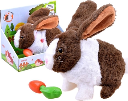 Picture of Jokomisiada Interaktywny zwierzaczek chrupaczek Królik ZA2685