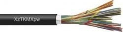 Attēls no Kabel Telekomunikacyjny Xztkmxpw 7*2*0.5 Bitner