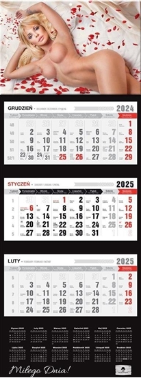 Picture of Kalendarz 2025 Trójdzielny Premium Pretty Women