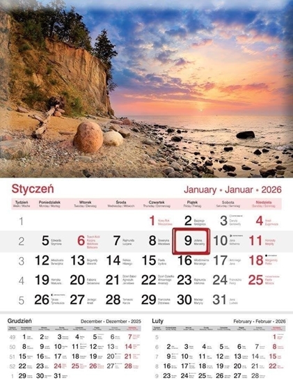 Picture of Kalendarz 2026 cienny jednodzielny Plaa
