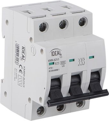 Изображение Kanlux Wycznik nadprdowy 3P C 10A AC (23163)