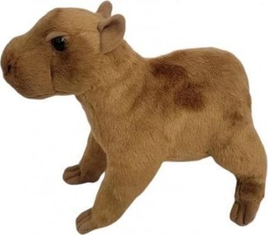 Picture of Kapibara 20cm