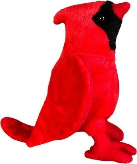 Picture of Kardyna czerwony 16cm