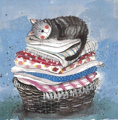 Picture of Karnet AC329 Kot na koszu z praniem