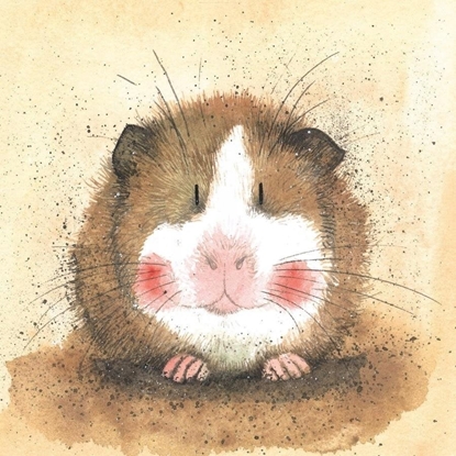 Picture of Karnet AC412 winka morska Gilbert