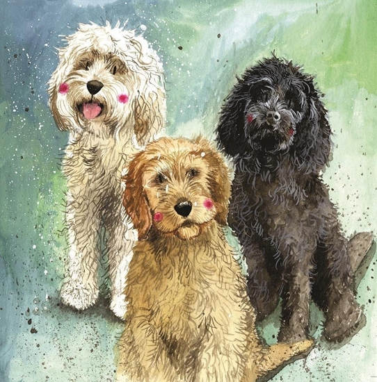 Изображение Karnet AC745 Psy Cockapoo