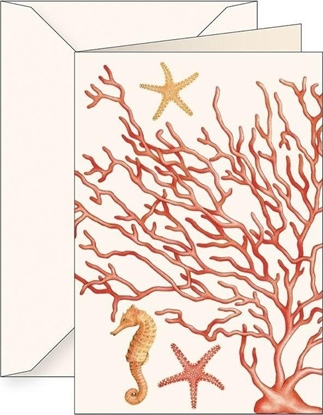 Picture of Karnet B6 + koperta 5772 Koralowce