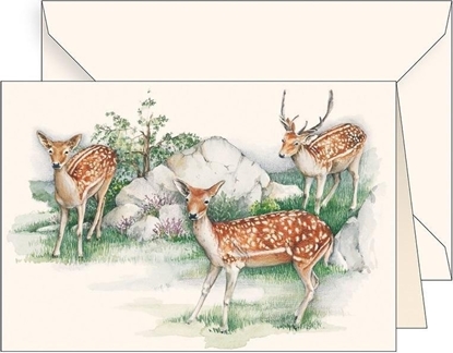 Attēls no Karnet B6 + koperta 6106 Jelonki