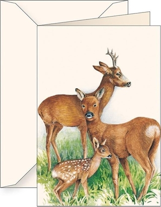 Picture of Karnet B6 + koperta 7509 Jelonki