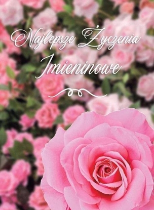 Picture of Karnet B6 Imieniny