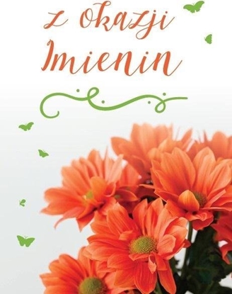 Picture of Karnet B6 Imieniny