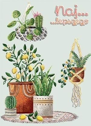 Изображение Karnet B6 Kwiaty doniczkowe