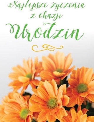 Picture of Karnet B6 Urodziny