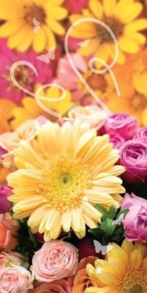 Picture of Karnet DL Uniwersalny