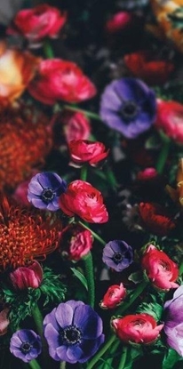 Picture of Karnet DL Uniwersalny