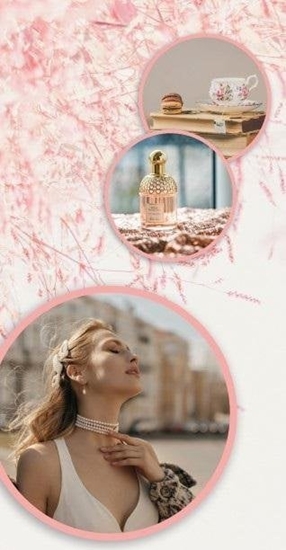 Изображение Karnet DL Uniwersalny