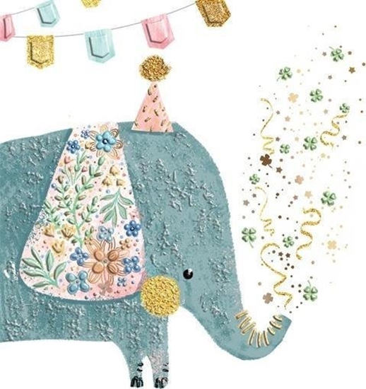 Изображение Karnet KW Sonik