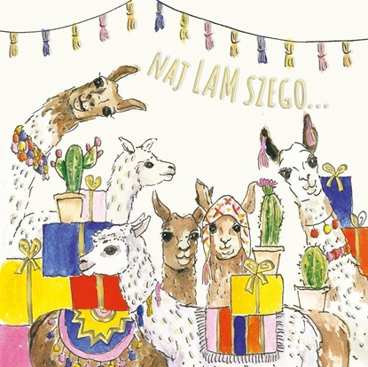 Picture of Karnet KW Urodziny lamy