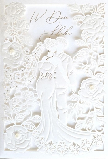 Изображение Karnet lub laser KP-287