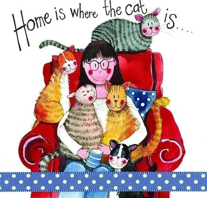 Attēls no Karnet S180 Tam dom Twój gdzie kot Twój