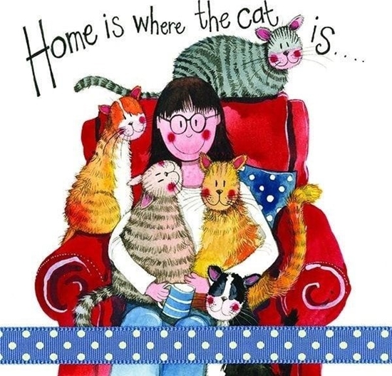 Picture of Karnet S180 Tam dom Twój gdzie kot Twój