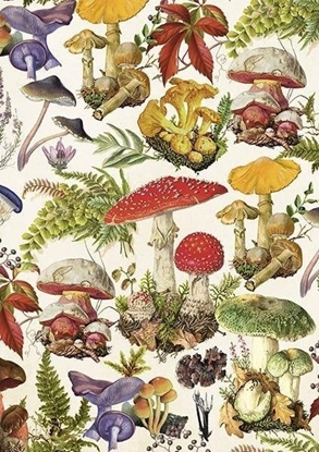 Изображение Karnet ST462 B6 + koperta Las grzybów