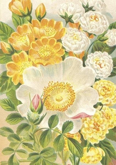 Изображение Karnet ST473 B6 + koperta óte róe