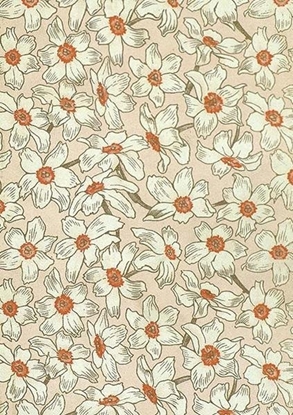 Изображение Karnet ST480 B6 + koperta Narcyz