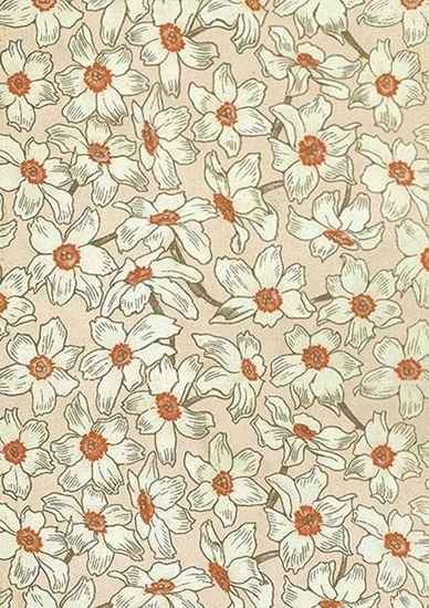 Изображение Karnet ST480 B6 + koperta Narcyz