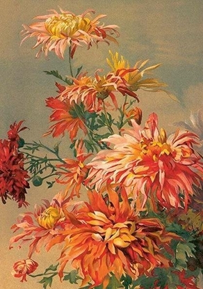 Изображение Karnet ST493 B6 + koperta Pomaraczowa dalia