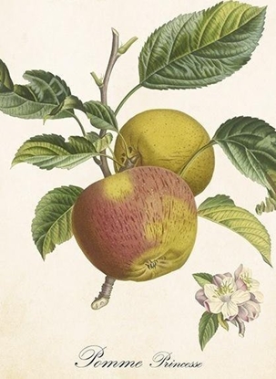 Изображение Karnet ST496 B6 + koperta Jabo